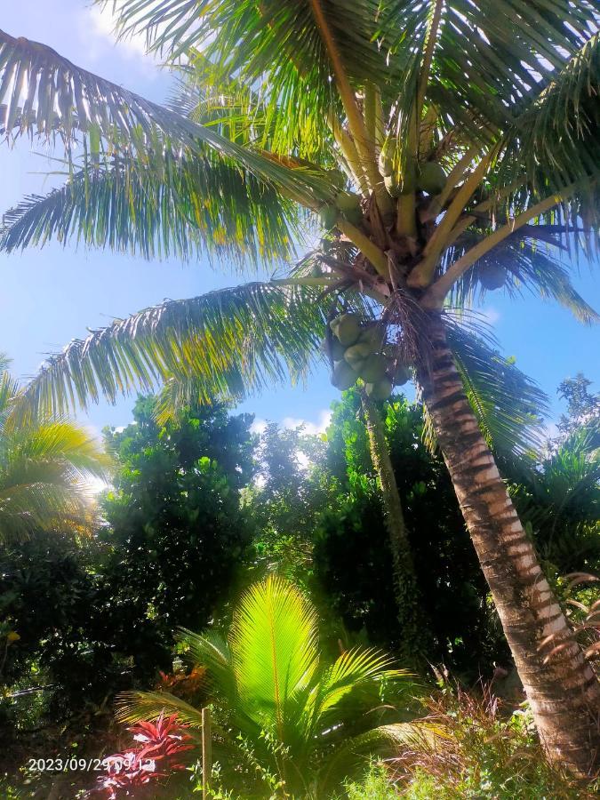 Douceur Des Hauteurs Bas De Villa, Piscine Privee サント・リュス エクステリア 写真
